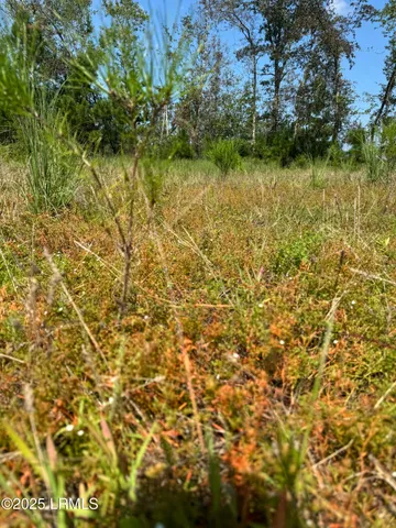 $490,682 | Tbd Tbd Old Buckhead Road, Branchville, SC 29432