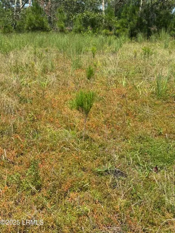 $490,682 | Tbd Tbd Old Buckhead Road, Branchville, SC 29432