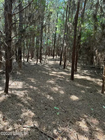 $490,682 | Tbd Tbd Old Buckhead Road, Branchville, SC 29432