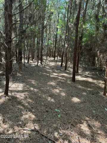 $490,682 | Tbd Tbd Old Buckhead Road, Branchville, SC 29432