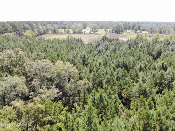 $490,682 | Tbd Tbd Old Buckhead Road, Branchville, SC 29432