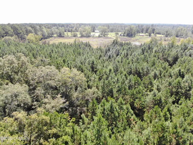 $490,682 | Tbd Tbd Old Buckhead Road, Branchville, SC 29432