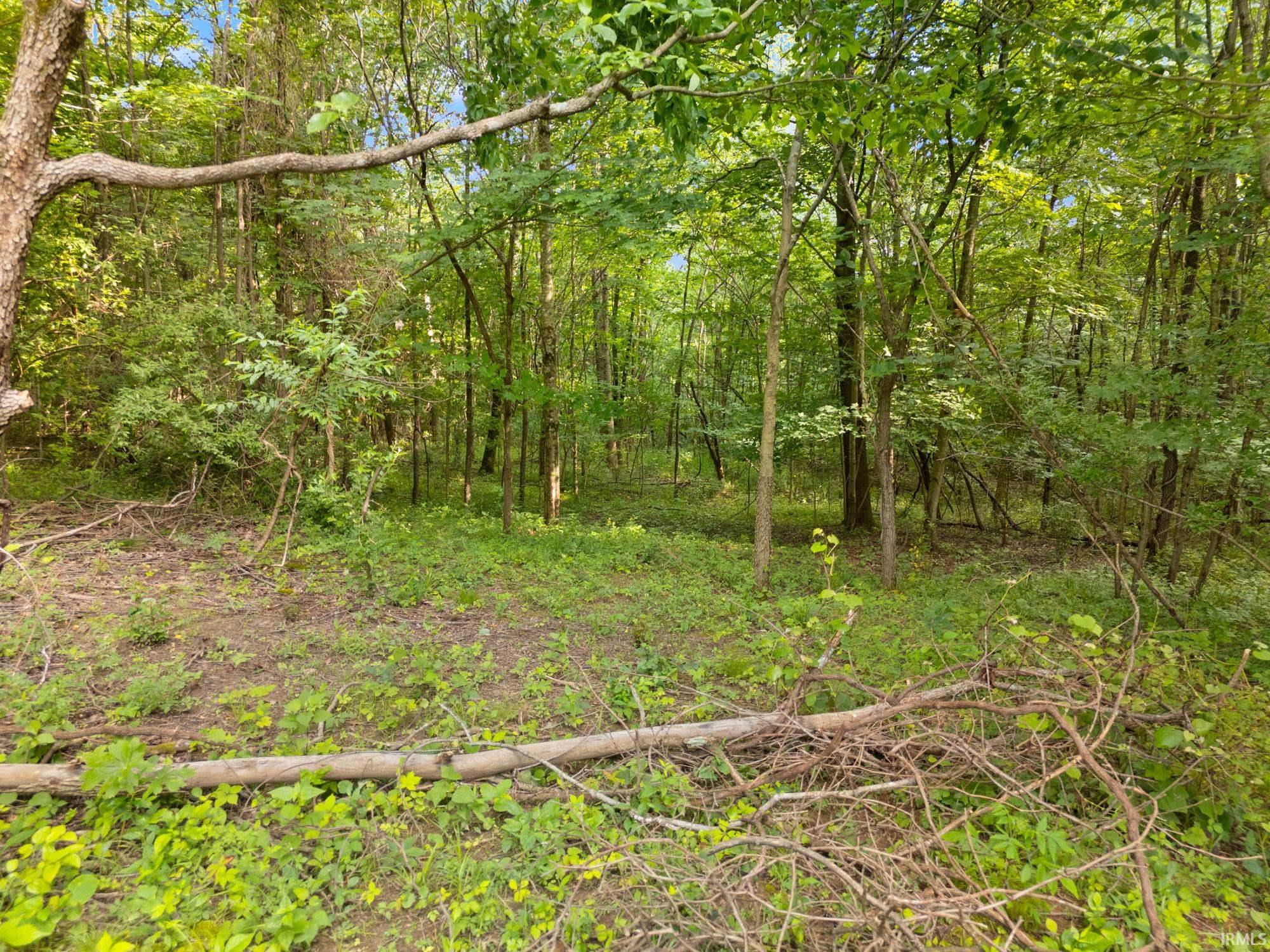 3681 Jericho Road Taswell, IN 47175 - Photo 25 of 30