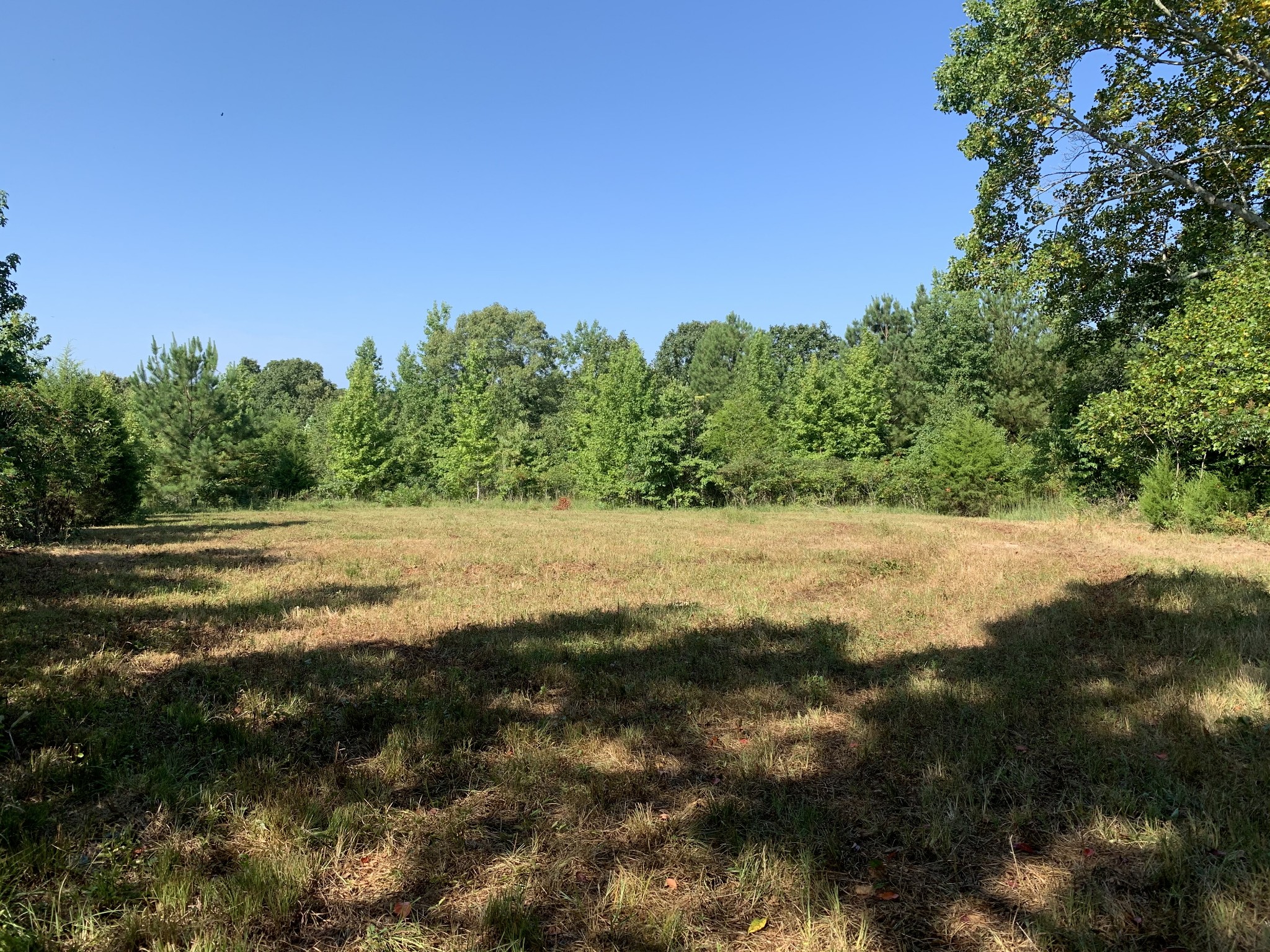 0 Little Texas Road Leoma, TN 38468 - Photo 12 of 20 a view of yard with green space