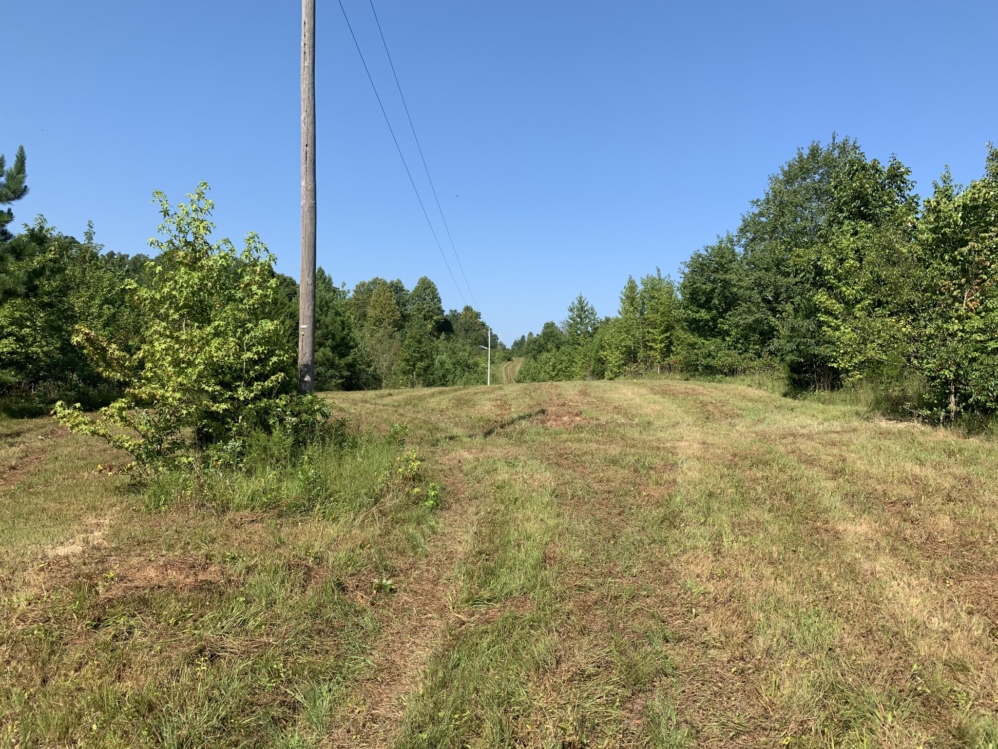 0 Little Texas Road Leoma, TN 38468 - Photo 14 of 20 a view of a field with an tree in the background