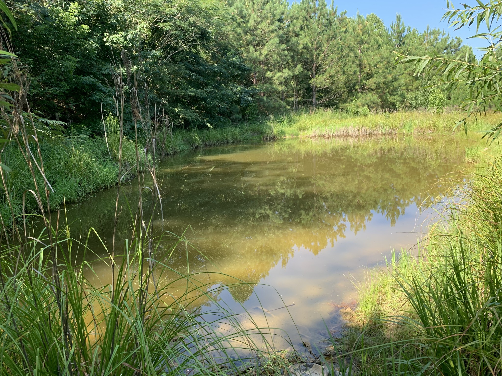 0 Little Texas Road Leoma, TN 38468 - Photo 15 of 20 a view of a lake view with a garden