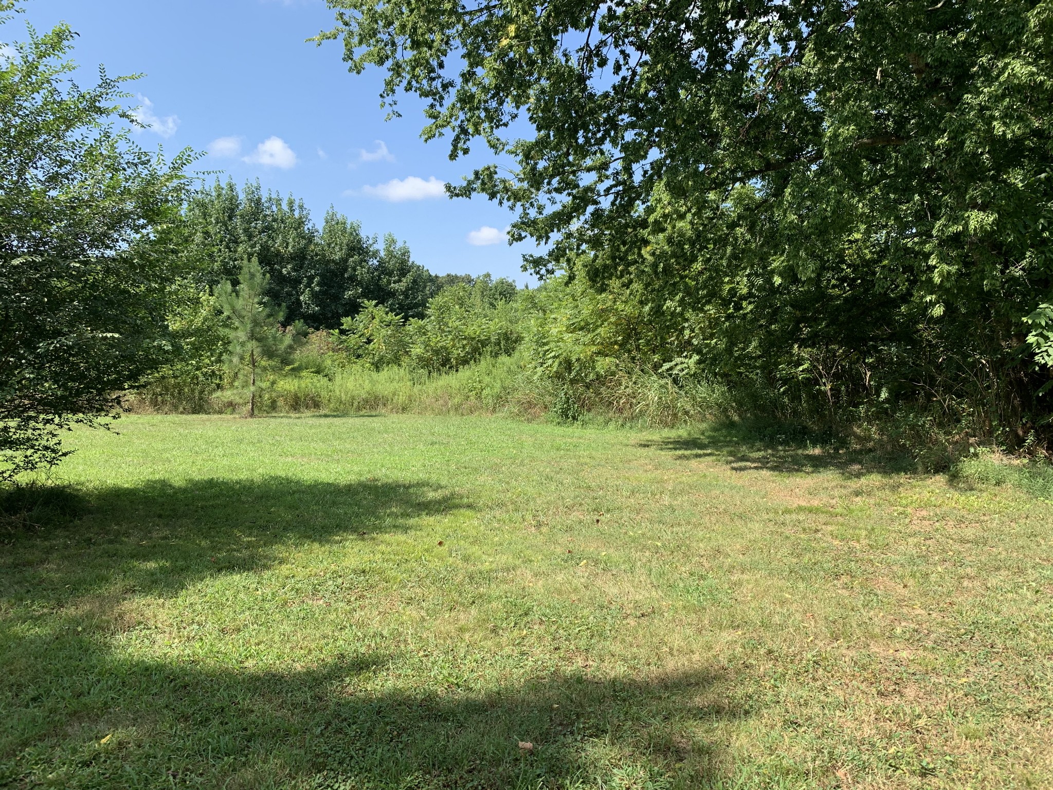 0 Little Texas Road Leoma, TN 38468 - Photo 19 of 20 a view of a yard with a tree