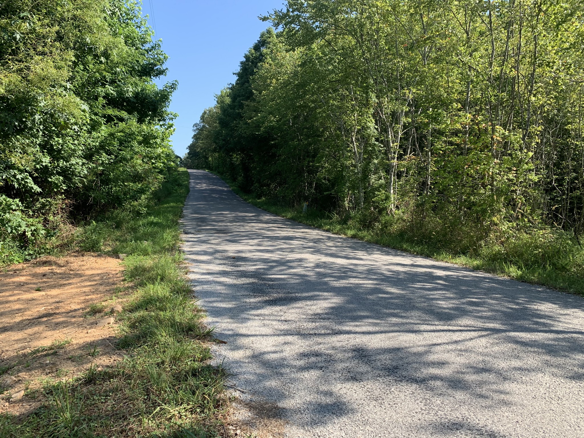 0 Little Texas Road Leoma, TN 38468 - Photo 4 of 20 a view of a yard