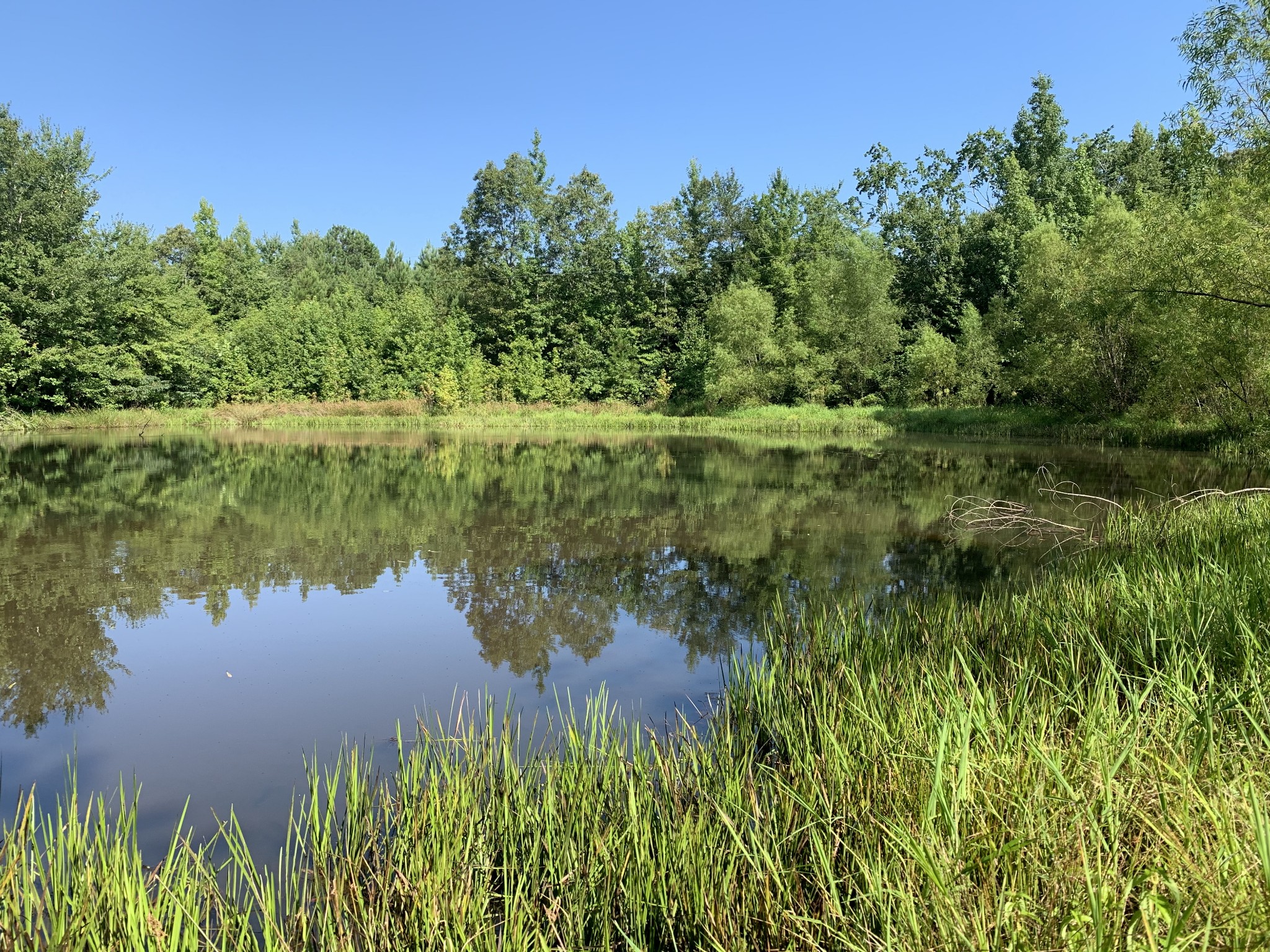 0 Little Texas Road Leoma, TN 38468 - Photo 5 of 20 a view of a lake with a yard