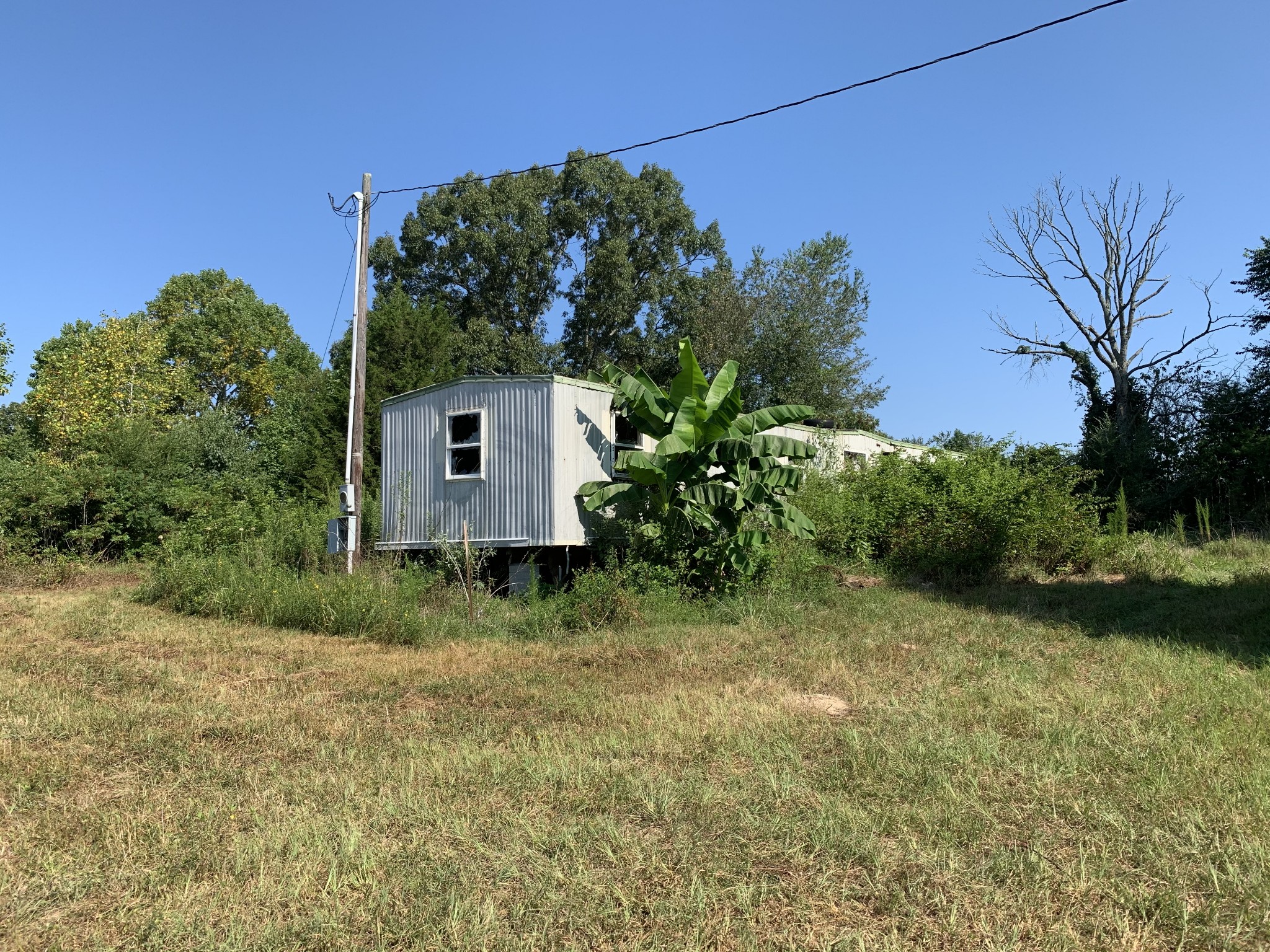 0 Little Texas Road Leoma, TN 38468 - Photo 9 of 20 a view of a house with a backyard