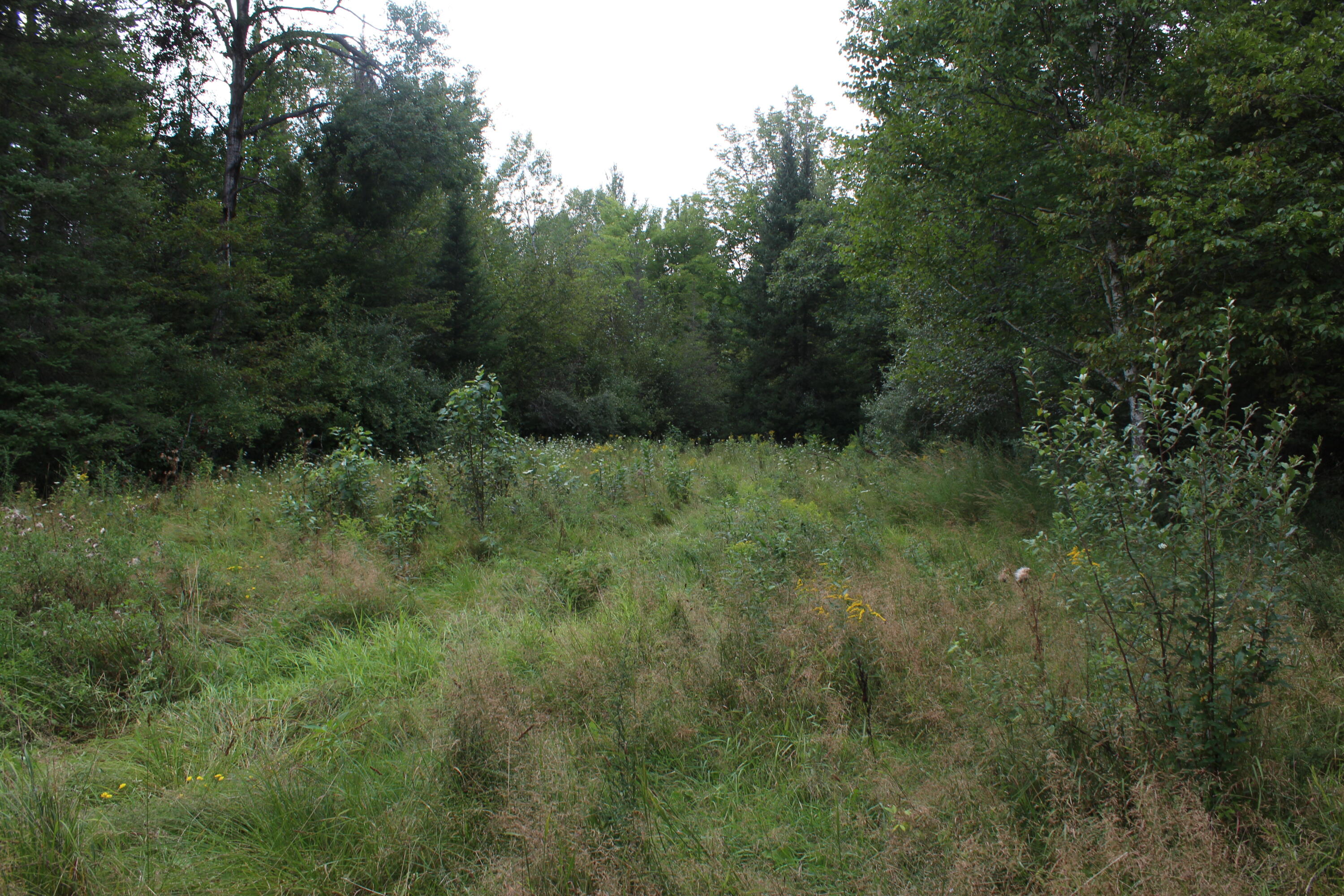 1630 Sanborn Road Mikado, MI 48745 - Photo 67 of 71 Gallery Image 67