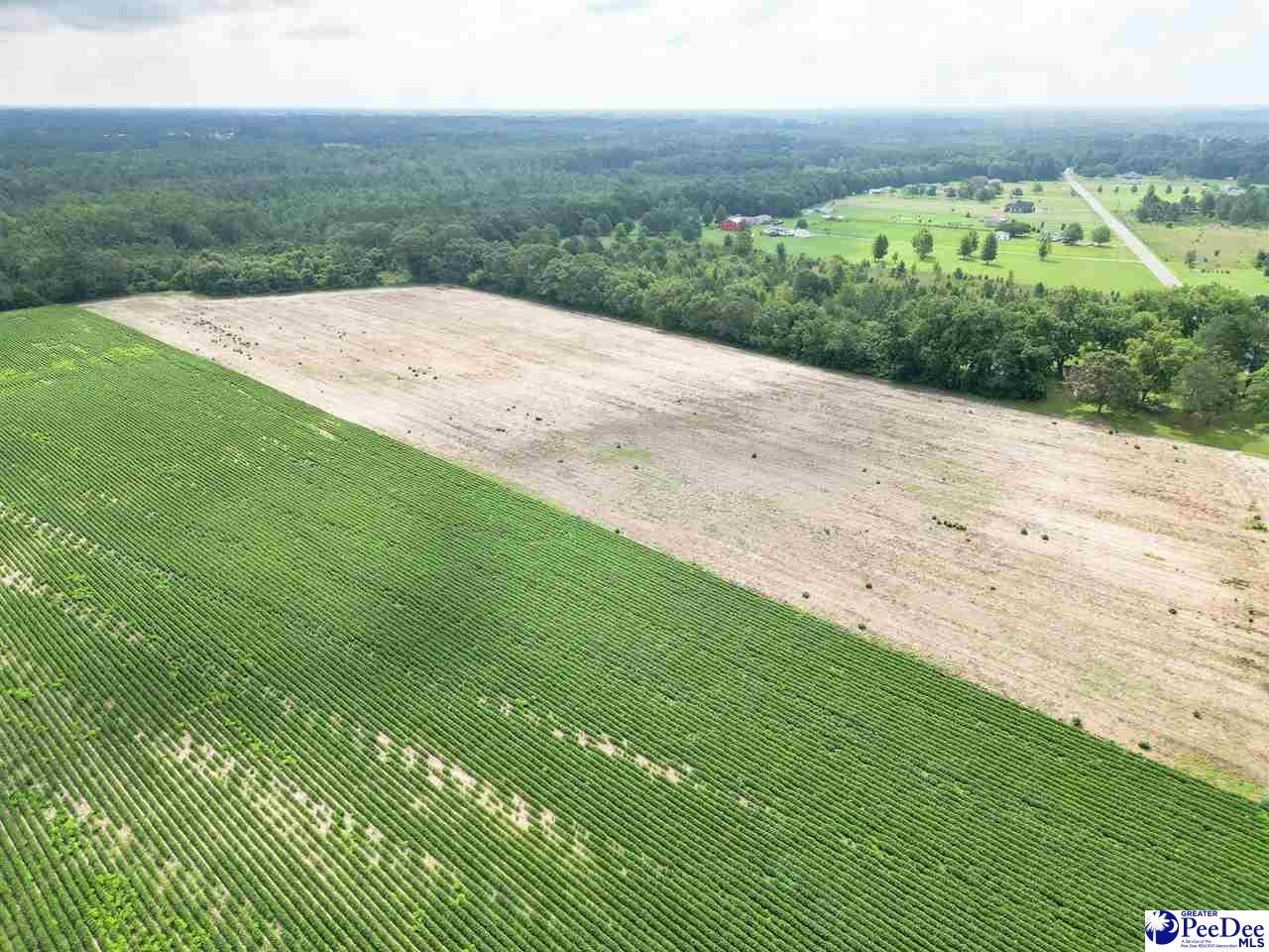 26-acres Una Road Lamar, SC 29069 - Photo 12 of 14 Gallery Image 12