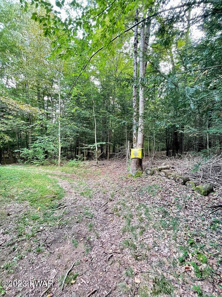 45 Jacob Road Waymart, PA 18472 - Photo 19 of 23