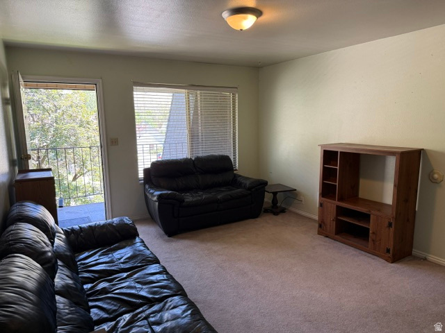 261 North 400 East, Unit 301 Provo, UT 84606 - Photo 3 of 8 Living area featuring light-toned walls, carpeted flooring, and a ceiling-mounted light fixture