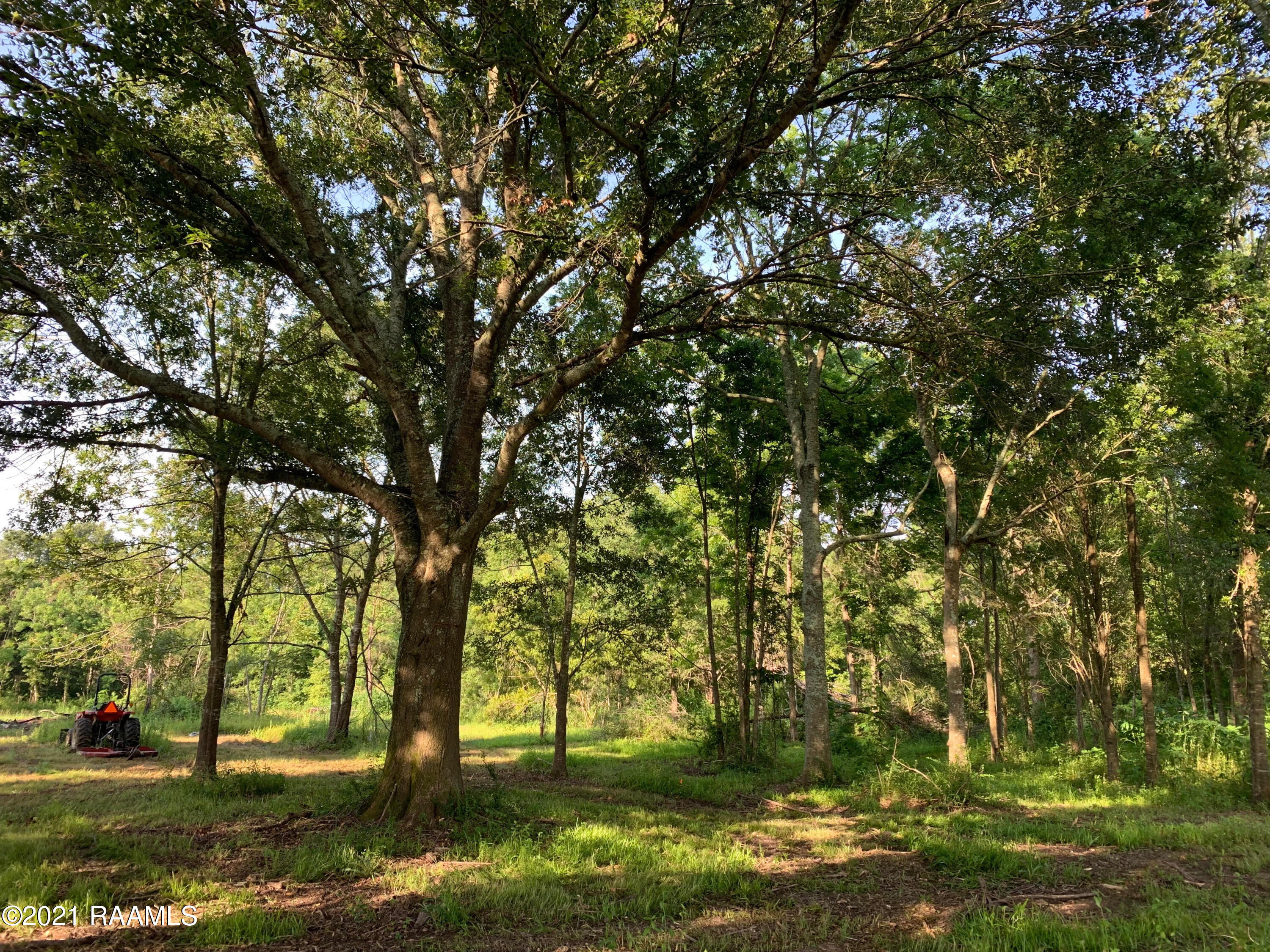 1426 Savoie Road Sunset, LA 70584 - Photo 3 of 5 Land 1