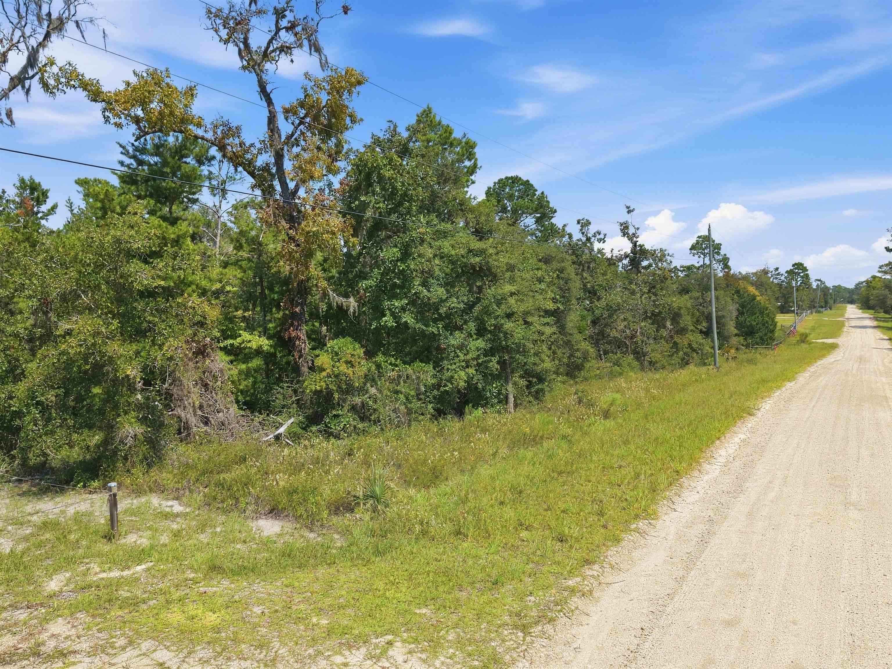 East Vacant Royal Oak Drive Road Perry, FL 32348 - Photo 23 of 26 Gallery Image 23