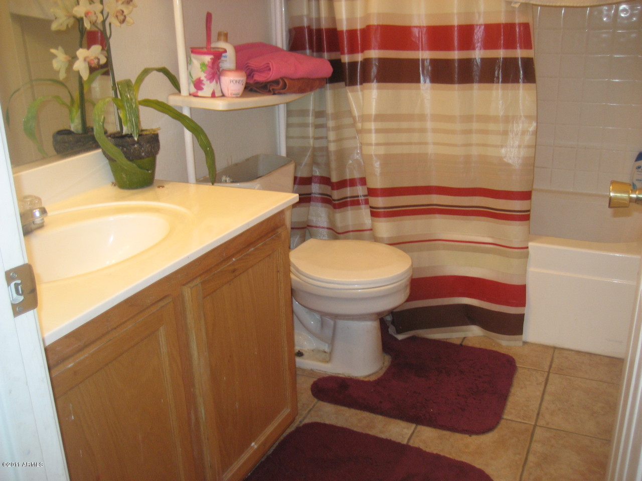 12014 West Charter Oak Road El Mirage, AZ 85335 - Photo 5 of 6 Bath