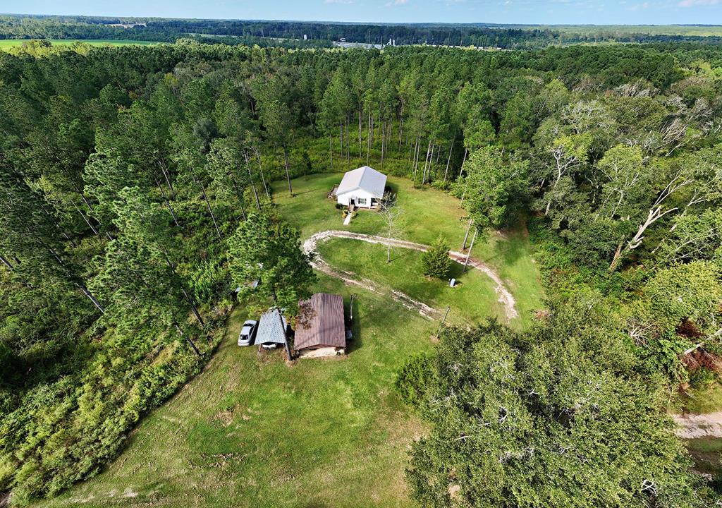 1387 Joyner Road Cairo, GA 39828 - Photo 45 of 57 Gallery Image 45