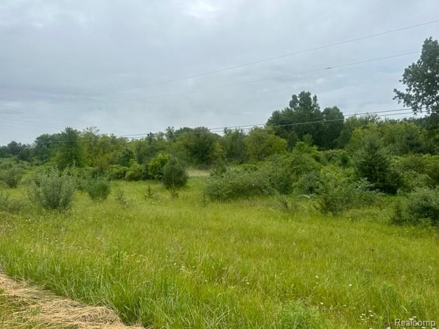 10.63-acre Lapeer Road Davison, MI 48423 - Photo 1 of 6