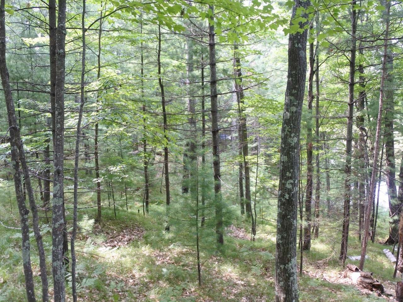 Lot A Egtvedt Road Woodruff, WI 54568 - Photo 24 of 30 Gallery Image 24