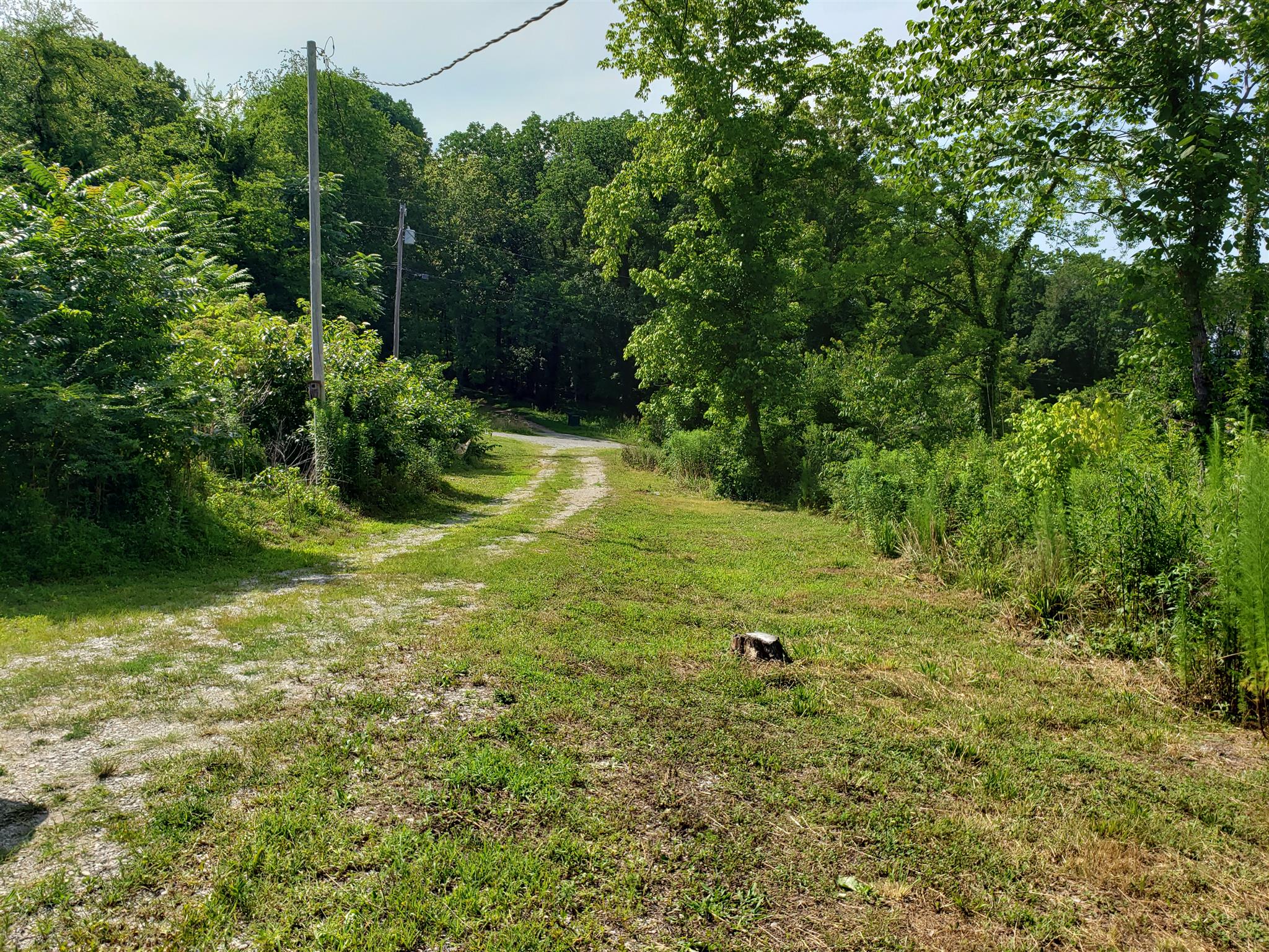 217 Trinity Hill Road Pulaski, TN 38478 - Photo 3 of 15 Gallery Image 3