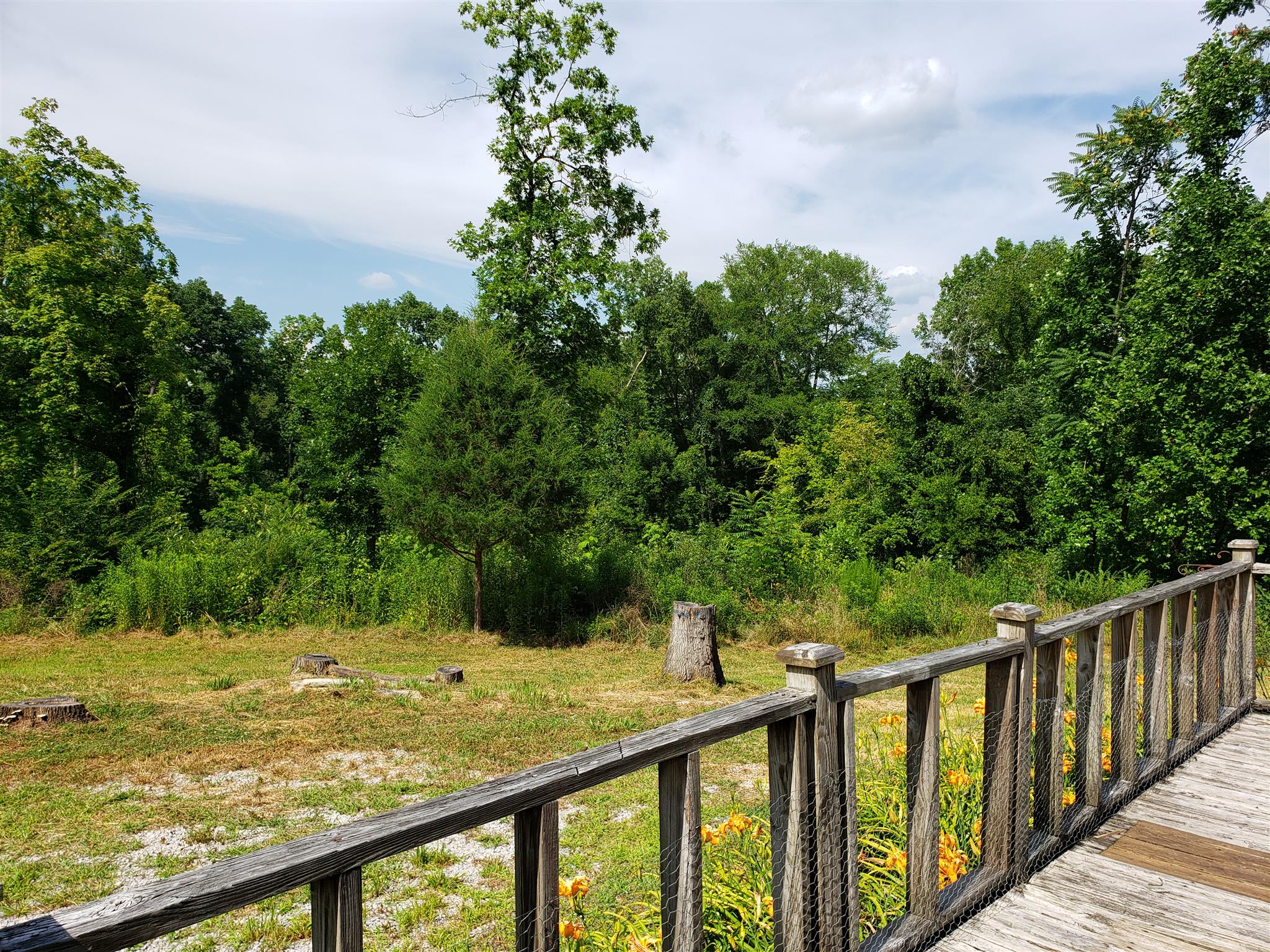 217 Trinity Hill Road Pulaski, TN 38478 - Photo 4 of 15 Gallery Image 4