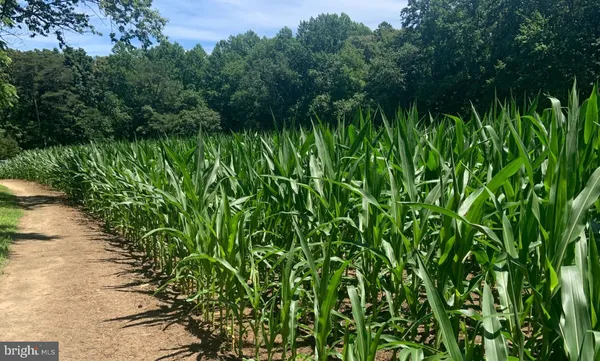 $1,299,900 | 6 Cinderberry Court, Georgetown, DE 19947