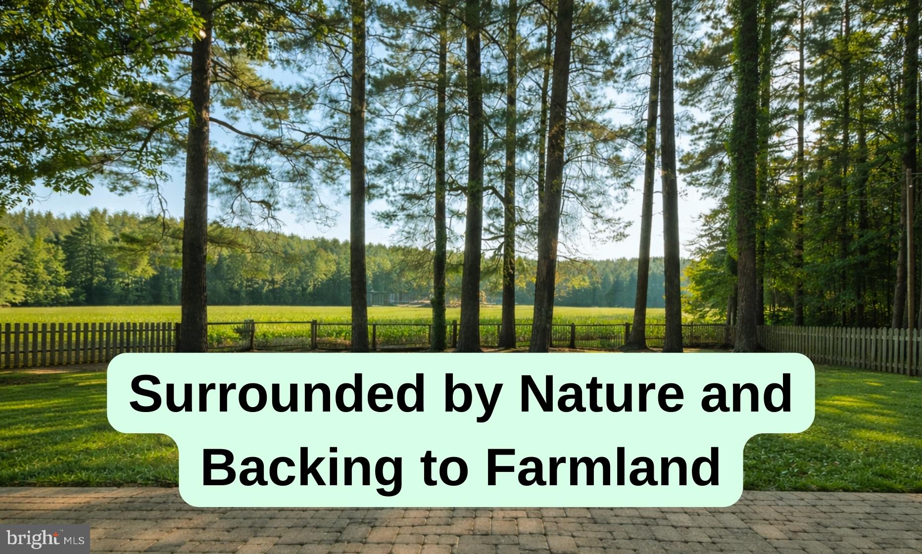 6 Cinderberry Court Georgetown, DE 19947 - Photo 4 of 117