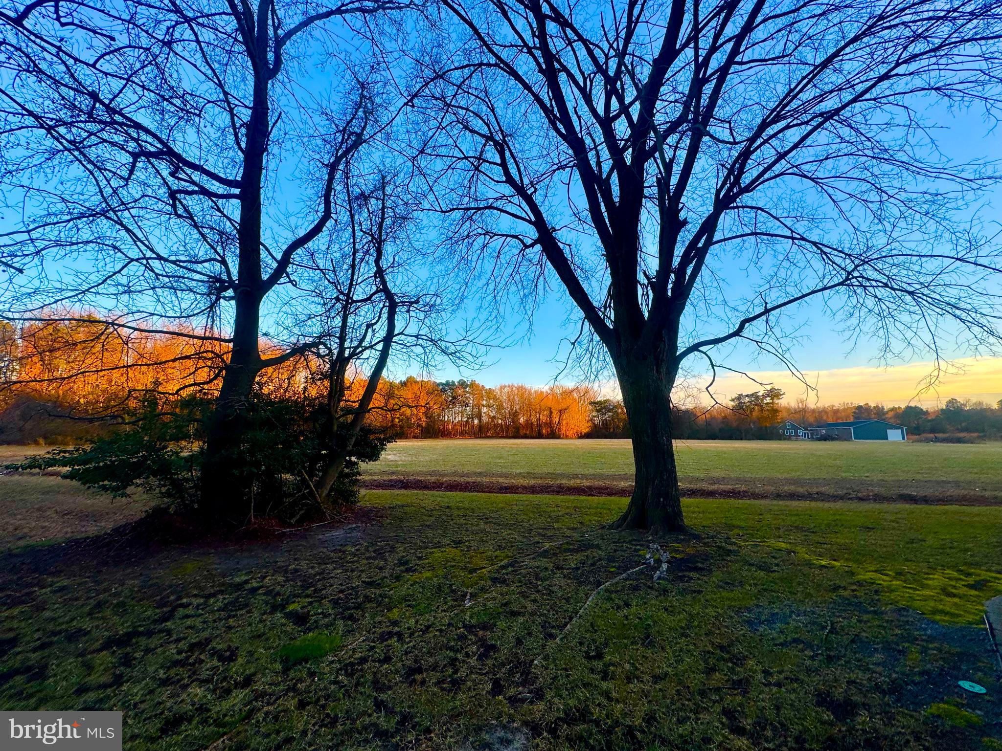 6 Cinderberry Court Georgetown, DE 19947 - Photo 54 of 61