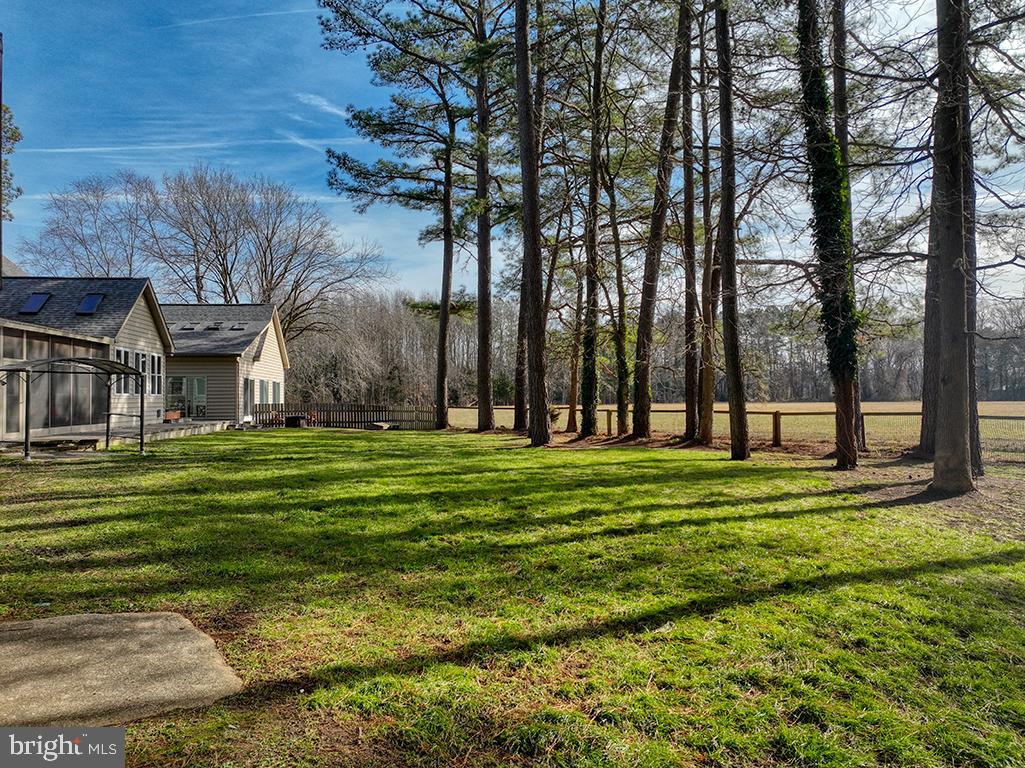 6 Cinderberry Court Georgetown, DE 19947 - Photo 61 of 117 a view of a park with large trees