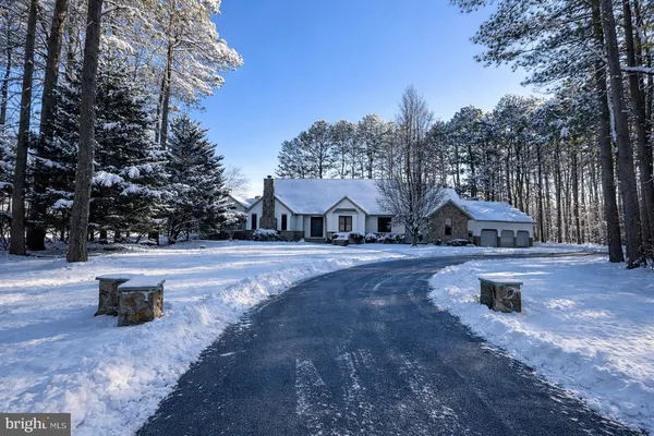 a view of a kitchen with a refrigerator and cabinets