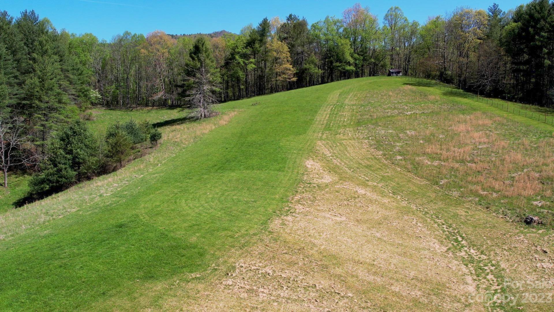 500 Indian Springs Road Clyde, NC 28721 - Photo 32 of 36 a view of a yard with a trees