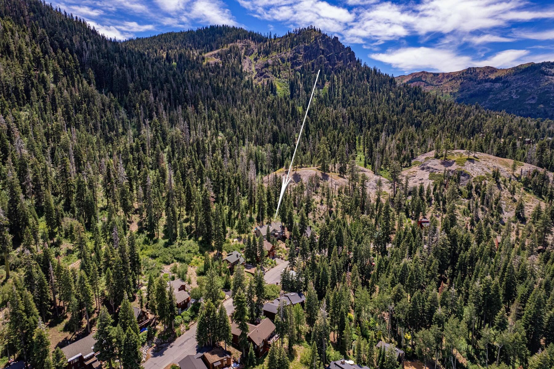 1141 Snow Crest Road Alpine Meadows, CA 96146 - Photo 27 of 27 a view of a city with lush green forest