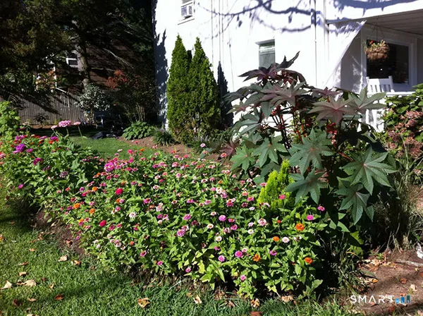 a view of a garden