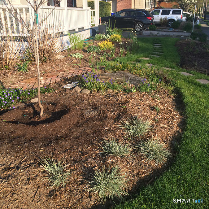 510 Reef Road Fairfield, CT 06824 - Photo 28 of 31 a view of a yard with plants and large trees