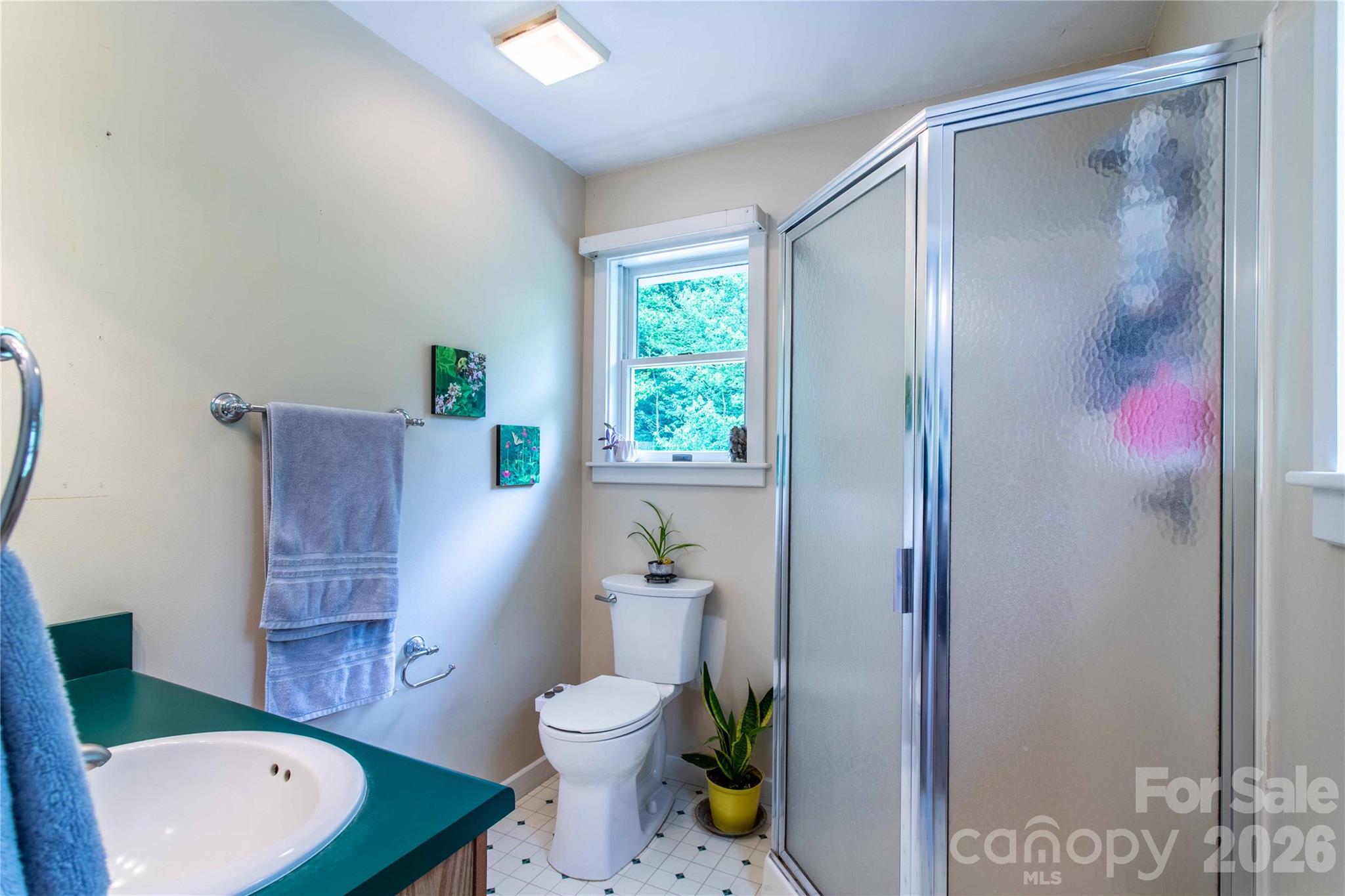658 Tilley Creek Road Cullowhee, NC 28723 - Photo 29 of 41