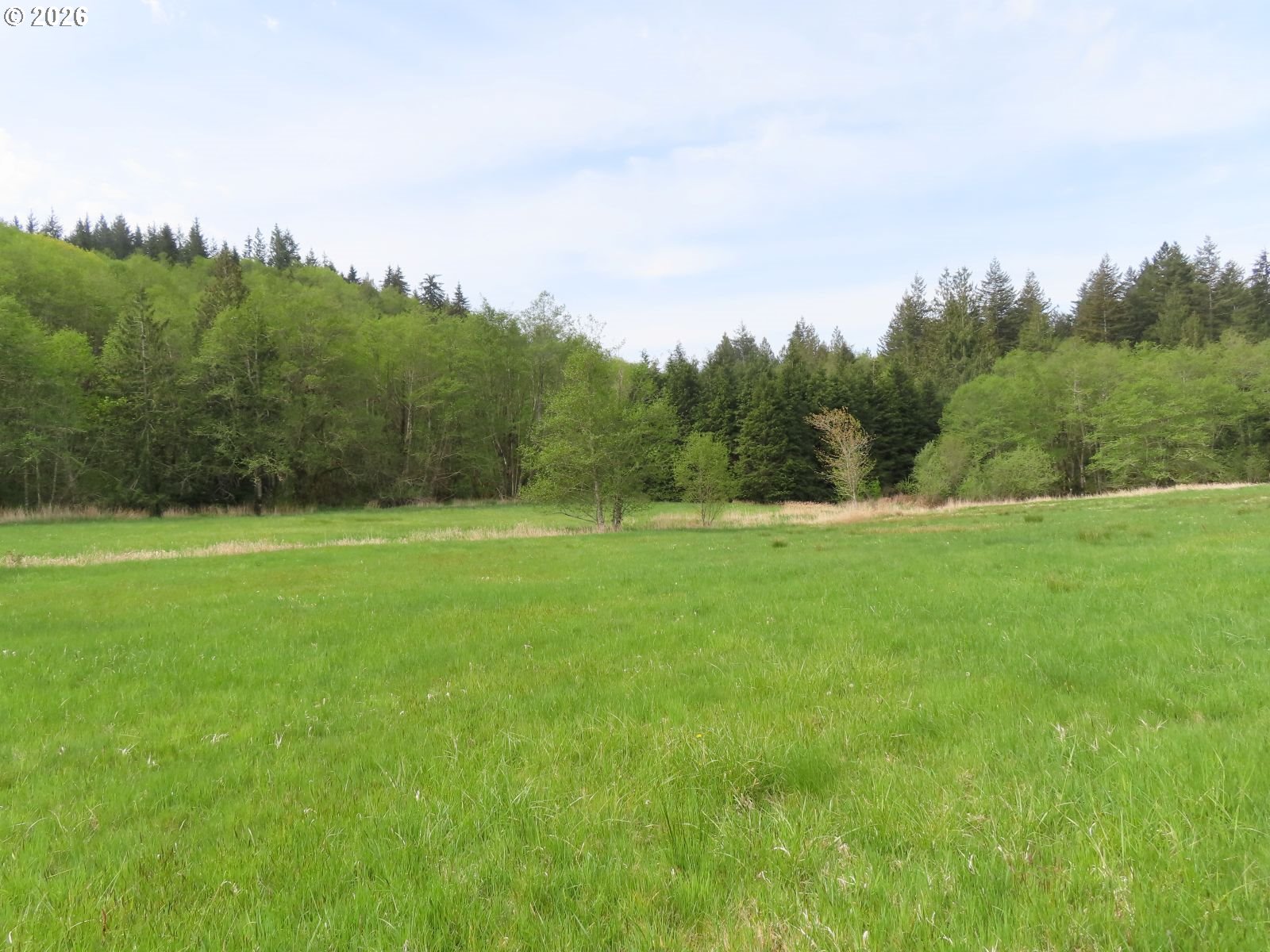 Hagen Road Mossyrock, WA 98564 - Photo 5 of 29