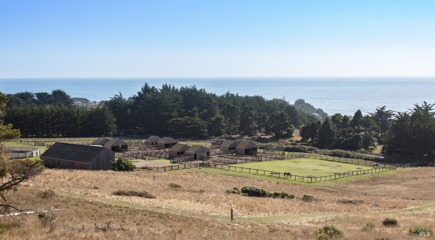 36505 Deep Woods Drive The Sea Ranch, CA 95497 - Photo 22 of 22 a view of swimming pool with a yard and palm trees