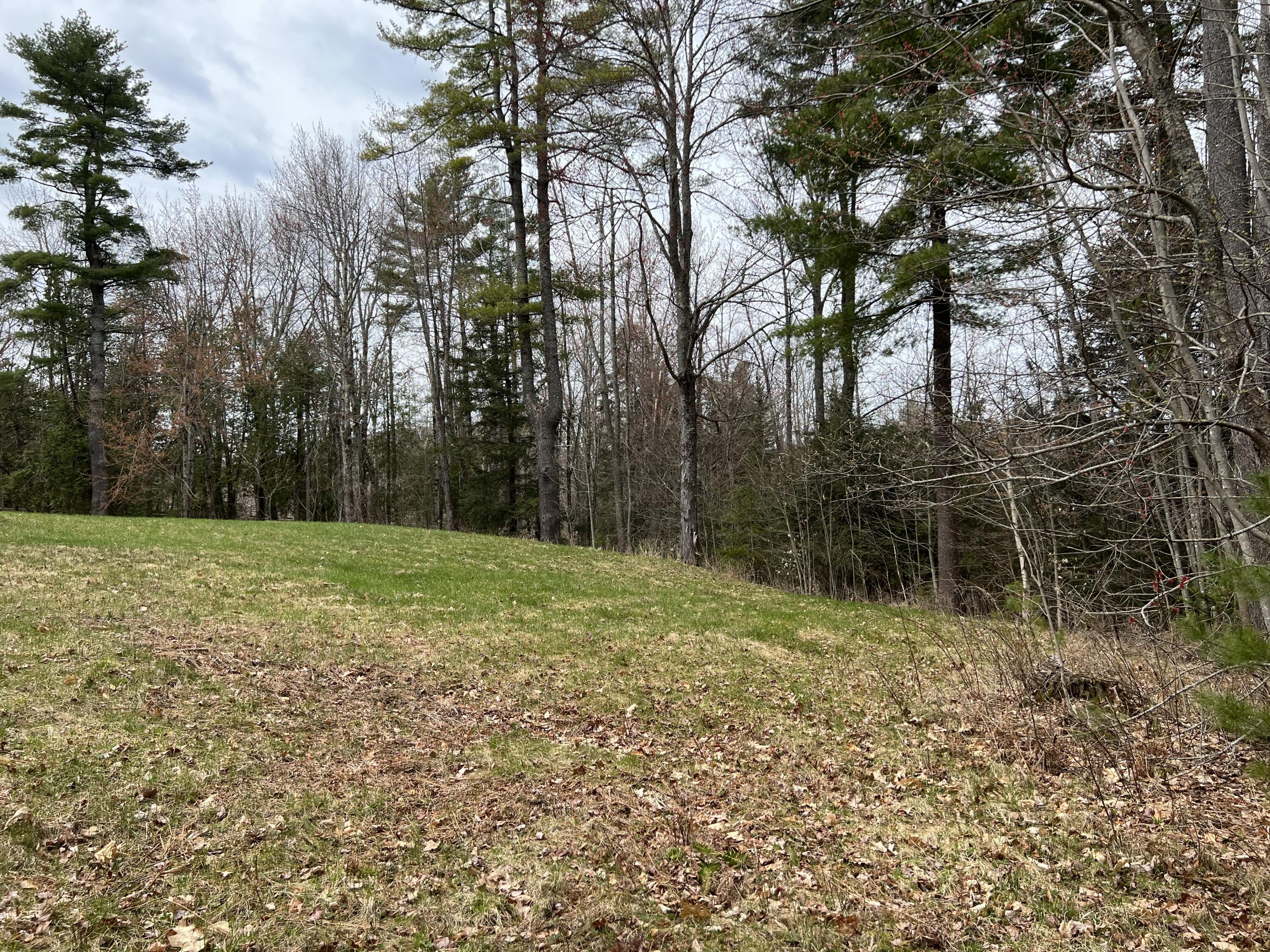 Lot 32-3 Miles Road Newburgh, ME 04444 - Photo 8 of 23 IMG_1506