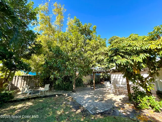 a view of a yard with plants and large trees