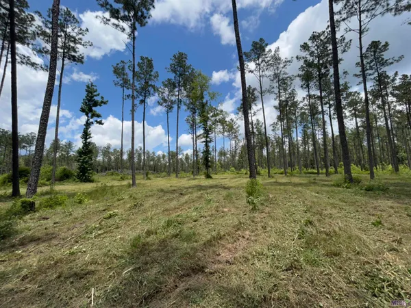 $95,000 | 14856 Pace Road, Clinton, LA 70722