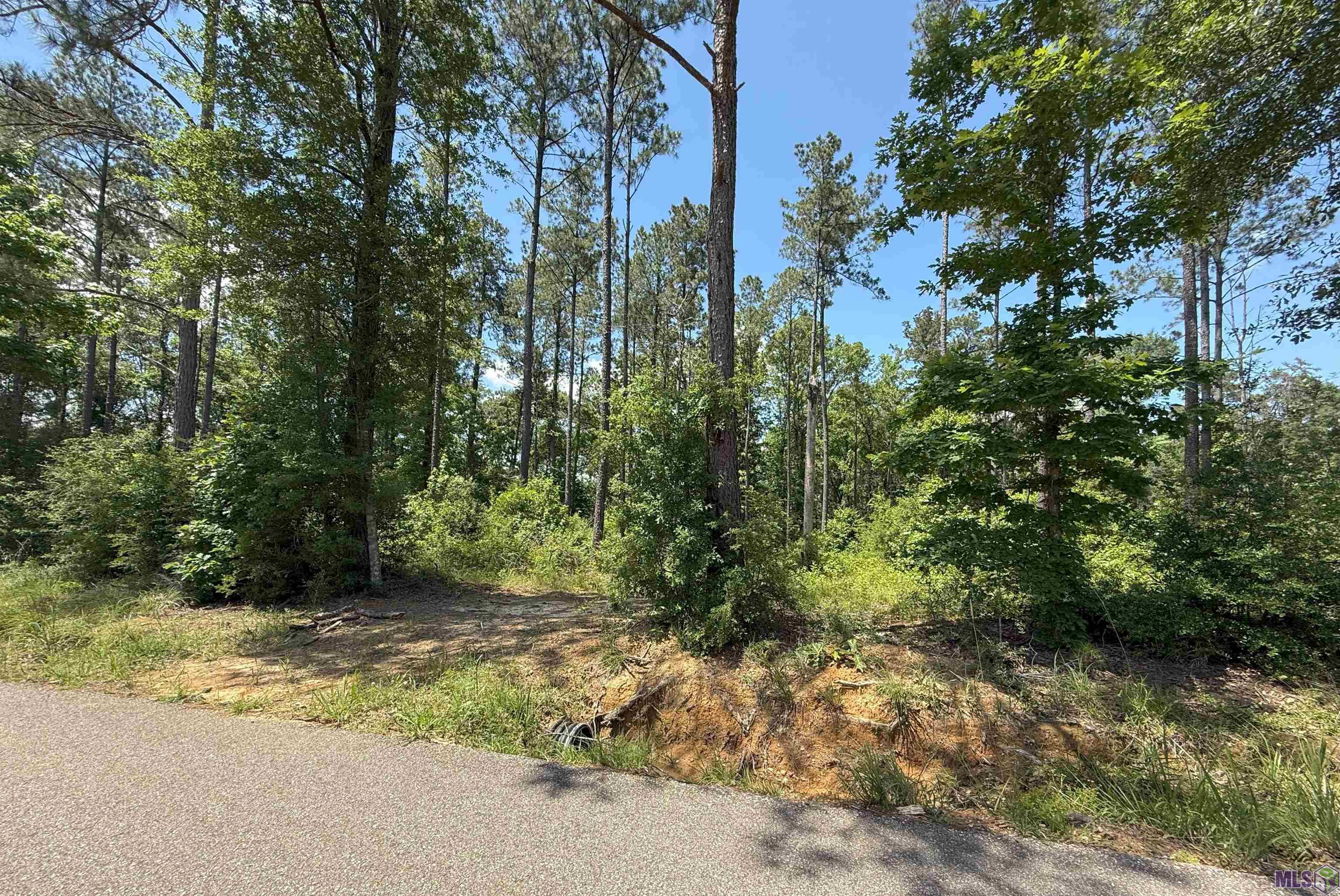 14856 Pace Road Clinton, LA 70722 - Photo 3 of 6