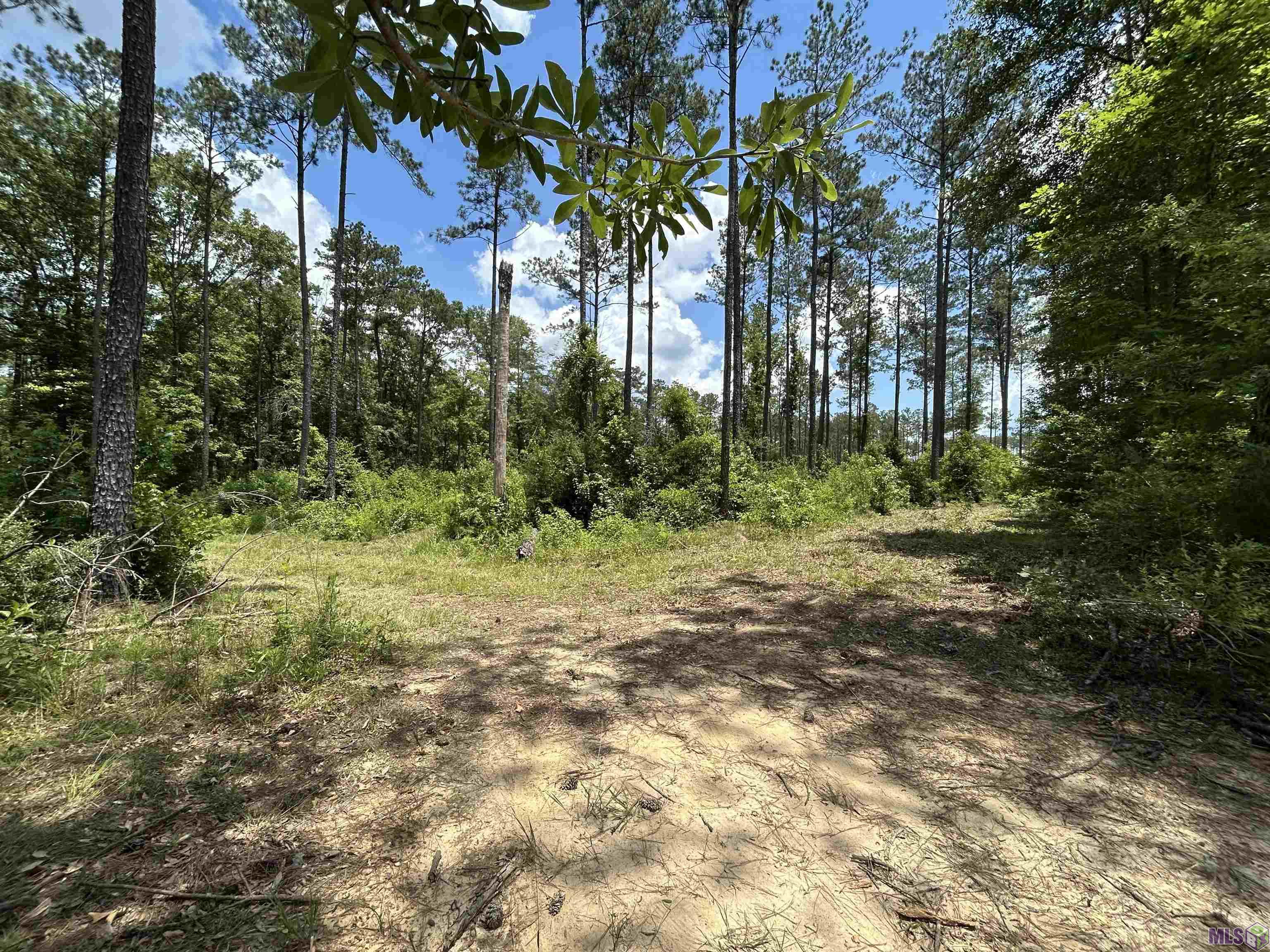 14856 Pace Road Clinton, LA 70722 - Photo 6 of 6