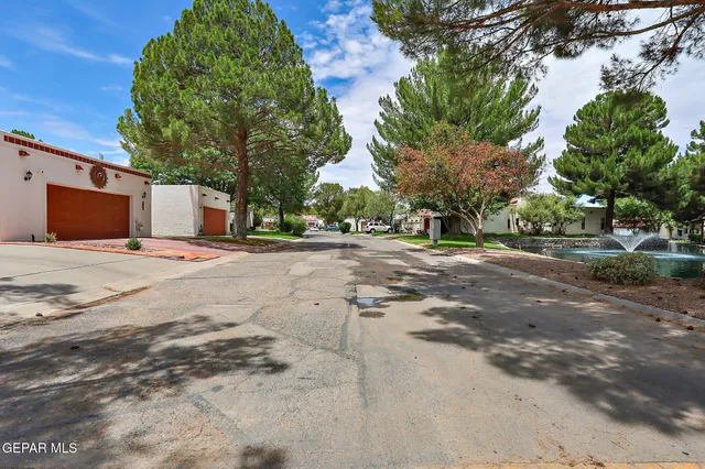 a backyard of a house with large trees and outdoor space