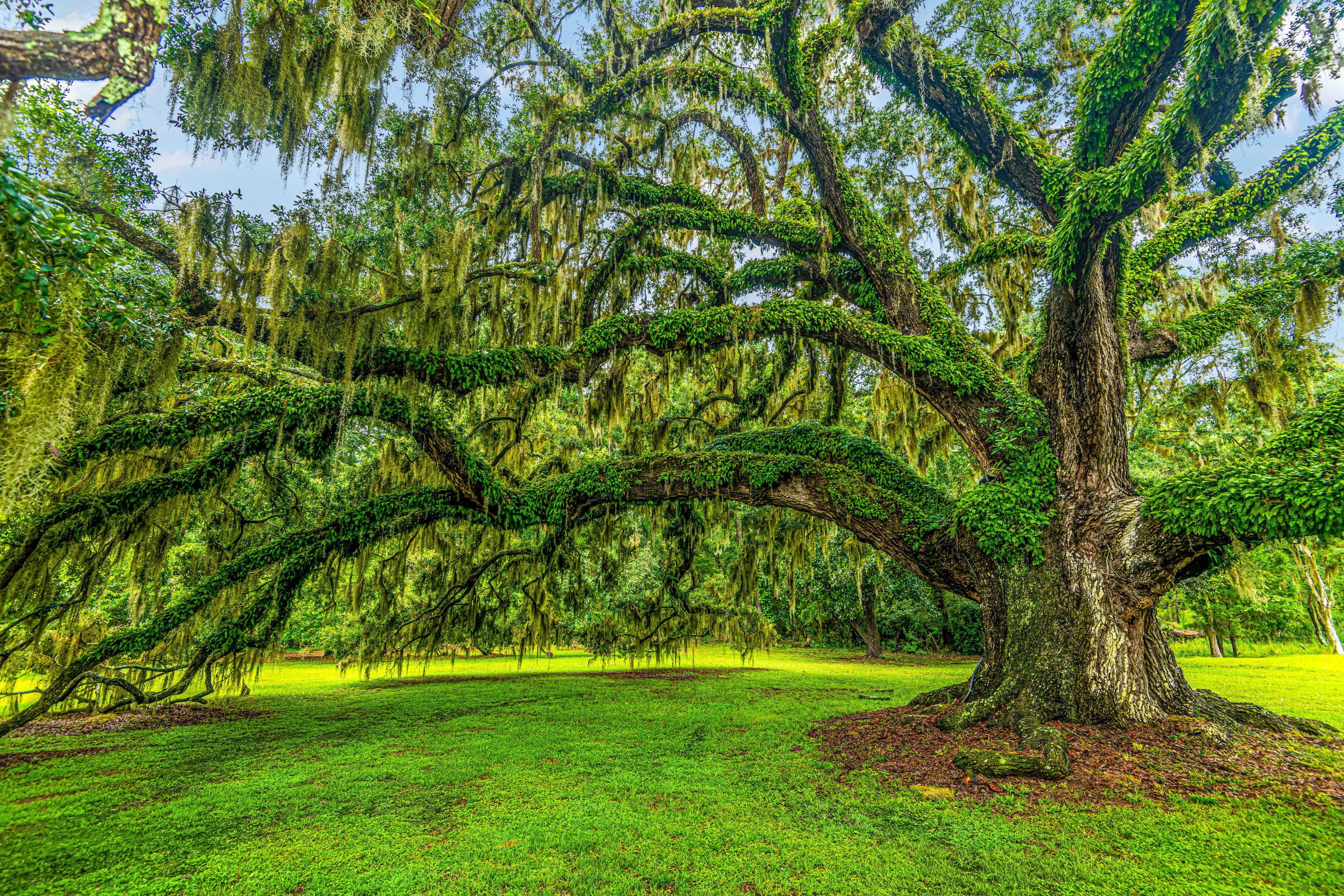 Crawford_Grounds04