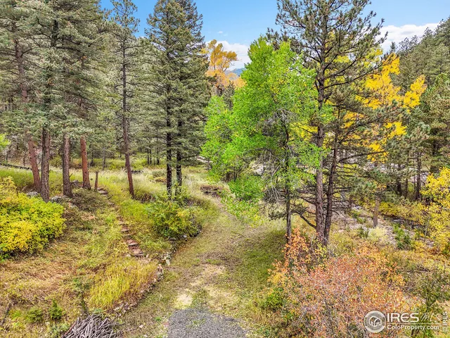 a view of yard with trees