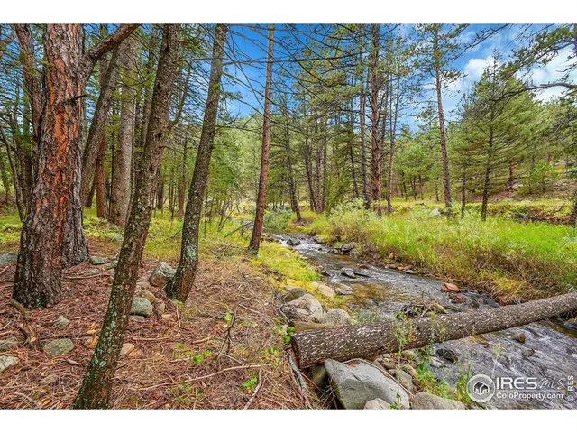 a view of outdoor space with trees