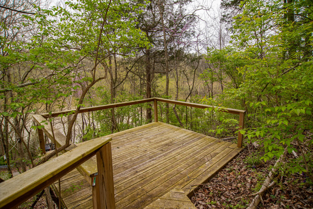4220 Four Mile Road Winchester, KY 40391 - Photo 32 of 48 32