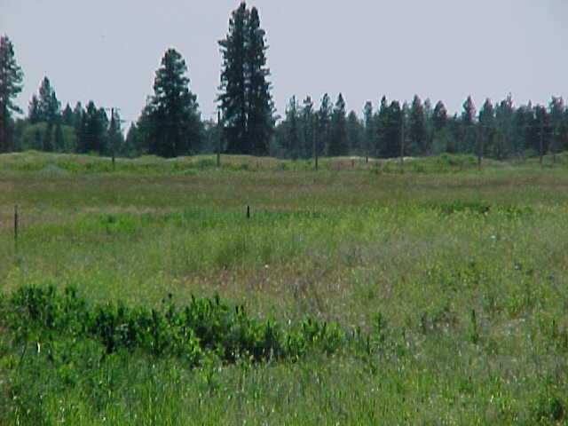 17129 West Lance Hill Road Cheney, WA 99004 - Photo 1 of 2