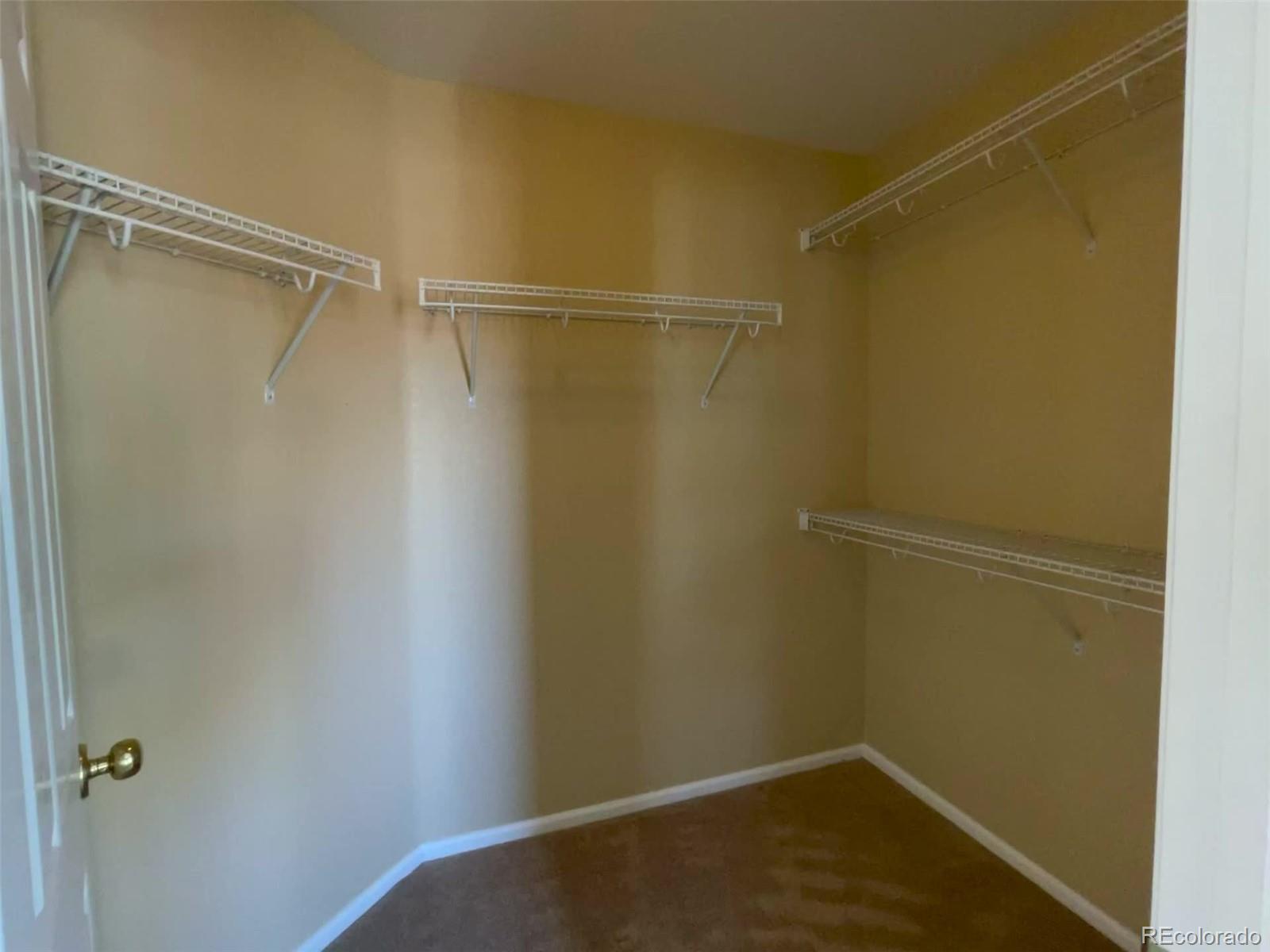10838 Towerbridge Road Highlands Ranch, CO 80130 - Photo 17 of 26 a view of a room
